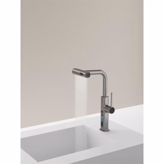 Solid Brass Pull-out Kitchen Sink Faucet